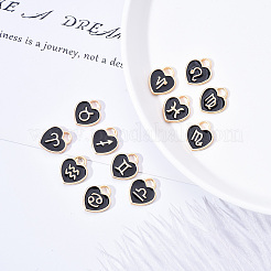 Pendentifs en émail d'alliage plaqué or léger&nbsp;ENAM-R055-05B