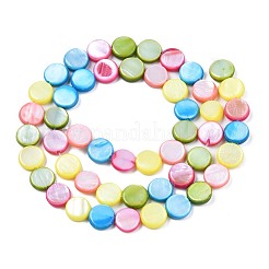 Süßwasser-Muschelperlen Stränge&nbsp;SHEL-T009-B16-06