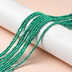 Fili di perline howlite naturale&nbsp;G-C025-02A-02