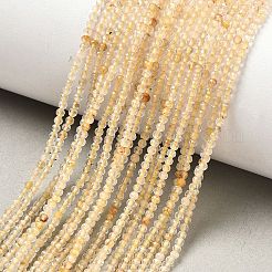 Natürlichen Gold Rutilquarz Perlen Stränge&nbsp;G-F509-42-2mm-01