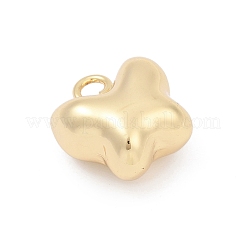 Messing Anhänger & Charms&nbsp;KK-Q049-01G-G