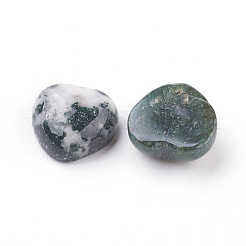 Natur Moos Achat Cabochons&nbsp;G-F528-12