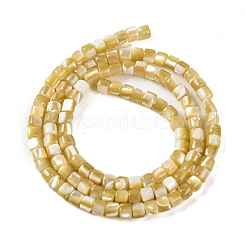 Fili di perline di conchiglia trochus naturale&nbsp;BSHE-S304-09A