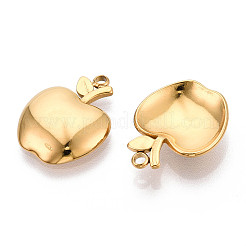 Colgantes de acero inoxidable 304&nbsp;STAS-T065-74G