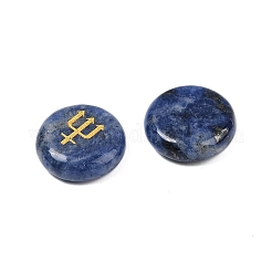 10 Stück 10 Stile natürliche Sodalith-Cabochons&nbsp;G-G193-03H