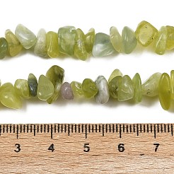 Natürliche Jade Chip Perlen Stränge&nbsp;X-G-B160-B02