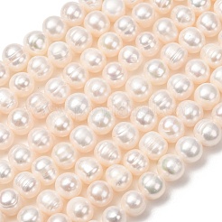 Fili di perle di perle d'acqua dolce coltivate naturali&nbsp;PA-CBABE82-06D