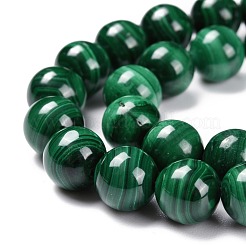 Brins de perles naturelles de malachite&nbsp;G-O152-47-10mm-A