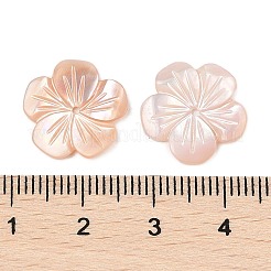 Natürliche rosa Muschel geschnitzte Perlen&nbsp;SSHEL-I026-12C-03