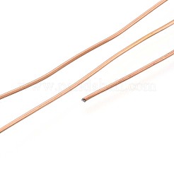 10 m 304 Edelstahldraht&nbsp;TWIR-N005-0.8mm-RG