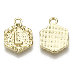 Aluminium Anhänger & Charms&nbsp;PALLOY-N157-003L-NR