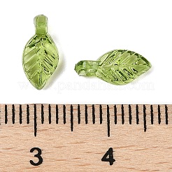 Charms de acrílico transparente&nbsp;TACR-F009-11C