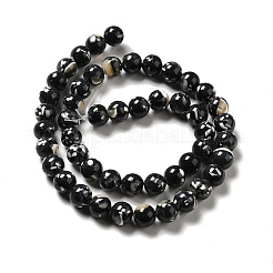 Fili di perle sintetiche turchesi e conchiglie montate&nbsp;G-D482-01E
