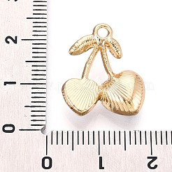 Legierung rhinestone-anhänger&nbsp;X-PALLOY-T092-24G-04
