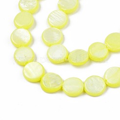 Chapelets de perles en coquille d'eau douce &nbsp;SHEL-T009-B16-01