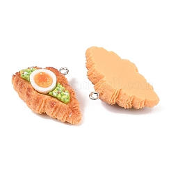 Pendentifs alimentaires imitation résine opaque&nbsp;LS-RESI-P049-01B-P