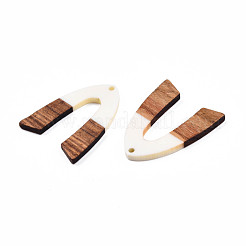Pendentifs en résine opaque et bois de noyer&nbsp;RESI-N025-029-B05