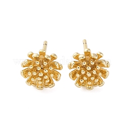 Orecchini in ottone&nbsp;EJEW-Q014-34G
