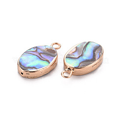 Galvanisierte natürliche Abalone-Muschel/Paua-Anhänger&nbsp;SSHEL-T014-22