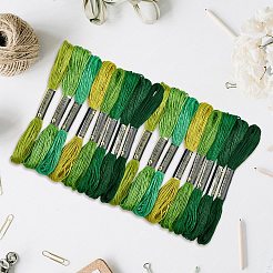 2 Beutel 6-fädiges Stickgarn aus Baumwolle&nbsp;DIY-DJ0005-18B