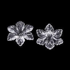 Trasparenti protezioni del branello acrilico&nbsp;TACR-G050-04C