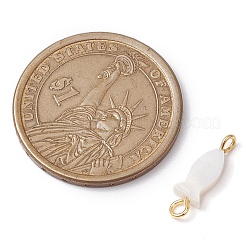 Natürliche Süßwasser-Muschel Fisch Verbinder Verbinder Charms&nbsp;PALLOY-JF02821