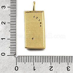 Messing Mikro ebnen Zirkonia Anhänger&nbsp;KK-S523-09G