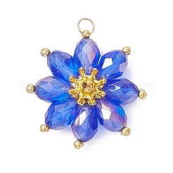 Pendentifs en verre&nbsp;PALLOY-MZ01143