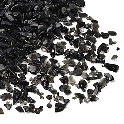 Natürlichen Obsidian Chip-Perlen&nbsp;X-G-L453-08