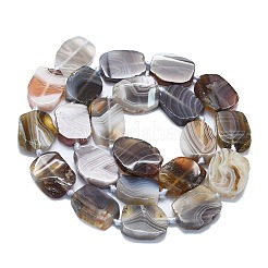 Natur Botswana Achat Perlen Stränge&nbsp;G-K245-J10-C01