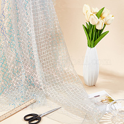 1 m Polyester- und PVC-Paillettennetzgewebe&nbsp;DIY-CY0003-54C