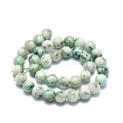 Natur Chrysokoll Perlen Stränge&nbsp;G-E576-04A