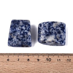Natürlicher Jaspisanhänger mit blauem Fleck&nbsp;G-G602-07H