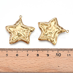 Anhänger aus Edelstahl 304&nbsp;STAS-N109-80G