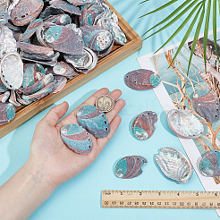 500 g natürliche Muschelperlen&nbsp;SSHEL-PH0001-38