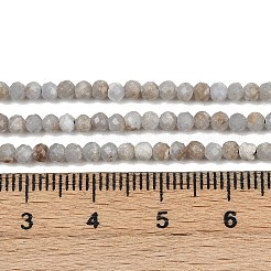 Natürliche Angelit Perlen Stränge&nbsp;G-RM2025-A48-B