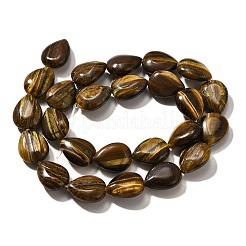 Natürlichen Tigerauge Perlen Stränge&nbsp;G-P561-B03-01