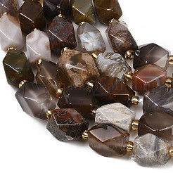 Botswana agata naturale perline fili&nbsp;G-P611-B01-01