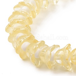 Chapelets de perles en verre transparente  &nbsp;LAMP-H061-01C-06