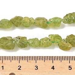 Rohe grobe natürliche Peridotperlenstränge&nbsp;G-M453-D12