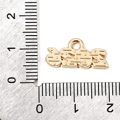 Pendentifs d'émail en alliage&nbsp;ENAM-D319-01KCG-02