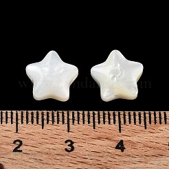 Perles de coquillage blanc naturel&nbsp;SHEL-M020-02A