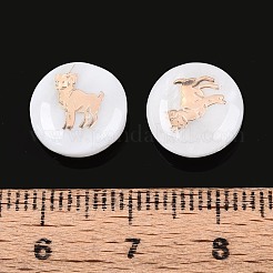 Natürlichen Süßwasser-Muschelperlen&nbsp;SHEL-N037-02E-G