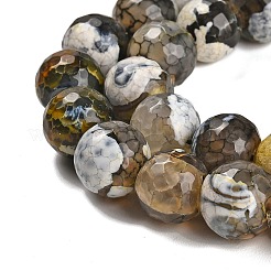 Fuoco naturale agata crepitio fili di perline&nbsp;G-L595-A02-01D