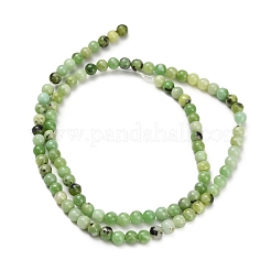 Natur Serpentin Perlen Stränge&nbsp;G-Z110-C04-4mm