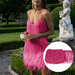 Nastro di poliestere con nappe di paillettes da 5 m&nbsp;OCOR-BC0006-56C