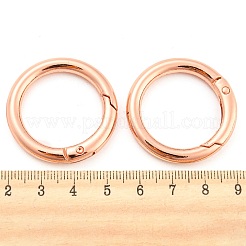 Alu-Federringringe&nbsp;PALLOY-H246-RG
