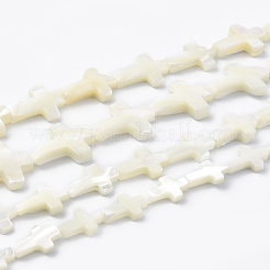 Natürliche Trochidschale / Trochusschalenperlenstränge&nbsp;SSHEL-K027-02