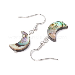 Natürliche Abalone Muschel/Paua Muschel Ohrhänger&nbsp;EJEW-JE05916-02