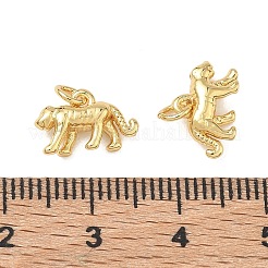 Breloques en laiton&nbsp;KK-D289-34C-G